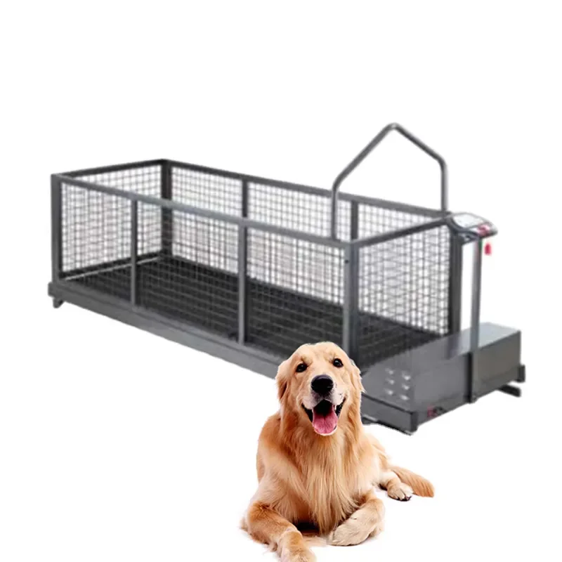 Dog Training Equipment Eco-friendly Dog Treadmill Pet Electric Treadmill on Stock