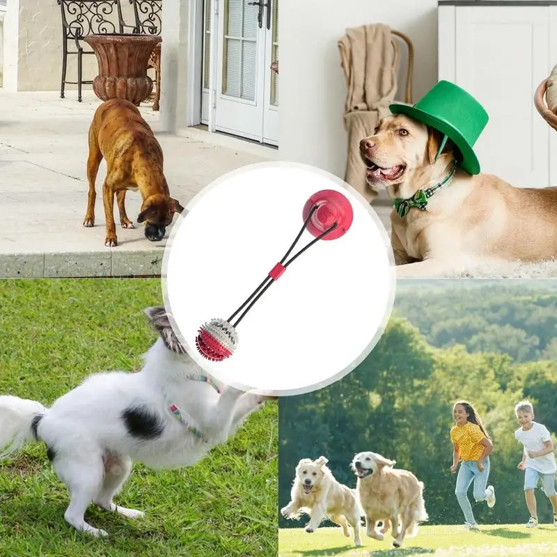 Juguetes para masticar perros, juguetes interactivos suaves para masticar, alimentador lento resistente a mordeduras, juguetes para mascotas, Bola de Limpieza de dientes de perro con ventosa para