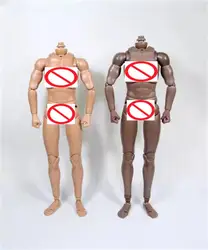 1/6 Dreamer Toys Model Male Man Doll Muscle Body Action Figure with Hand Neck Foot Connector Accessories For 12