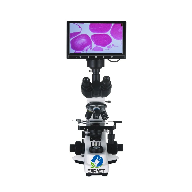 Luxury Veterinary Equipment Optical Biological Microscope Veterinary Biological Scanning Electron Microscope