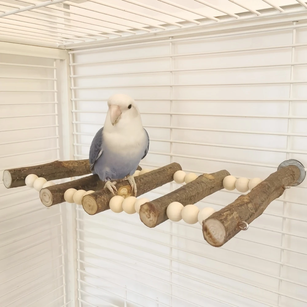 Thumbnail 3 - #21 Bird Perch Stands Comparison Guide