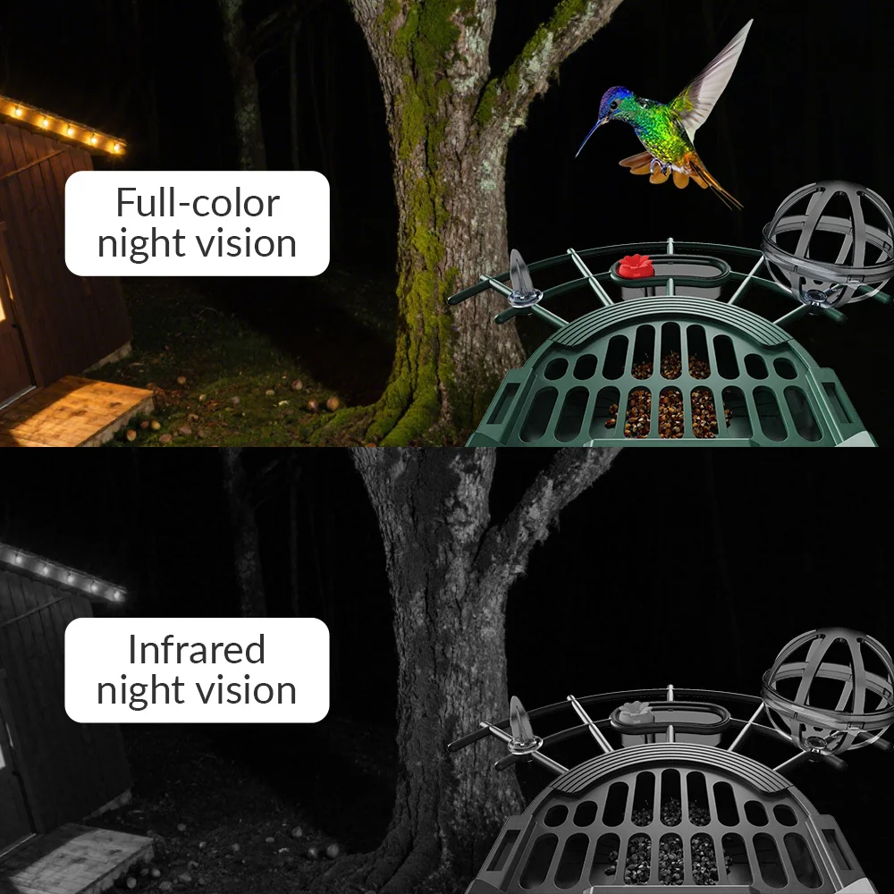 3MP Smart Bird Feeder with Camera 2.4GHz WiFi Auto-stored Bird Videos Motion Detection Alerts Solar-Powered Color Night Vision