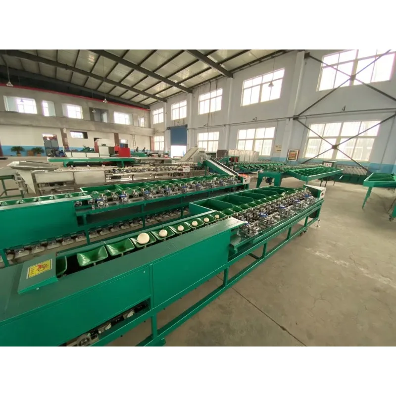 Multifunctiuonal Citrus Onion Tomato Sorting Lemon Kiwis Grading Machine