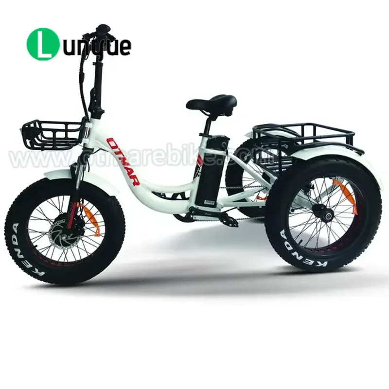 20 Inch Electric Fat Tricycle 3 Wheel Adult E Trike 48V Lithium Battery Pedal Assist Disc Brakes for Outdoor Commuting