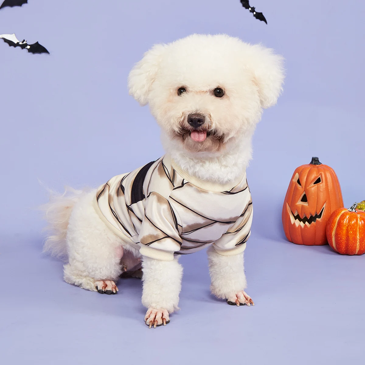 Dog Hoodies Puppy with Cute Mummy Eye and Spider Printed Sweatshirts for Small Medium Dog Cat Soft and Comfort Shirts Halloween