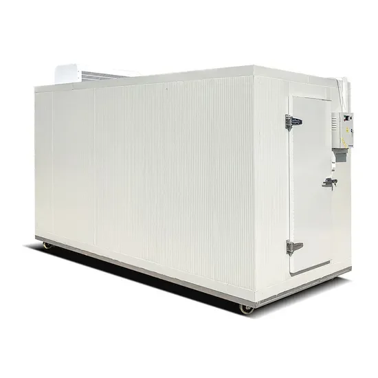 20FT and 40HQ Reefer Container with Cyclopentane Insulation and -25C Internal Temperature