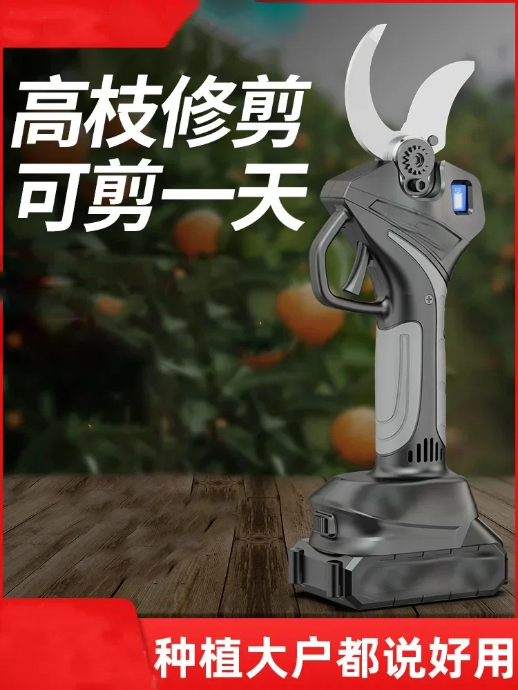 

Pruning tree scissors pruning artifact