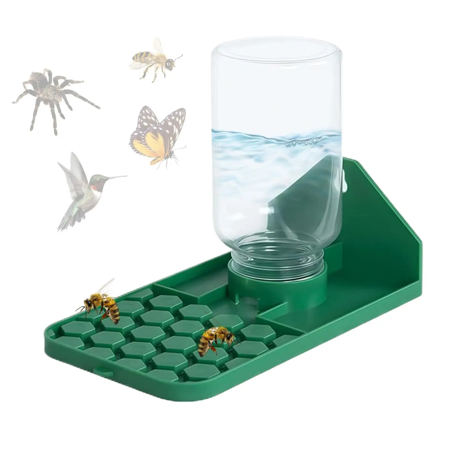 

Поилка для пауков-скакунов с несколькими отверстиями, герметичная, для пчел, аксессуары для пчелиных ульев, для мелких животных, гекконов, птиц, для использования на улице