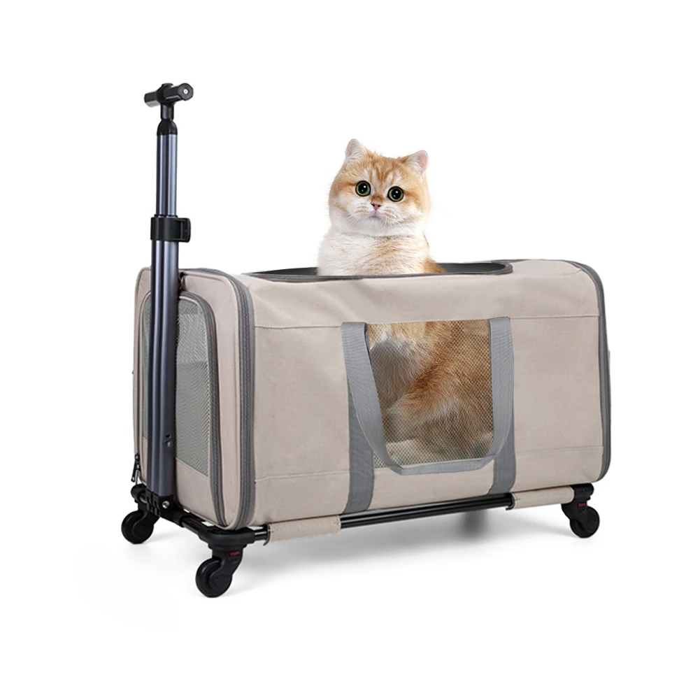 

Cat trolley for 2 cats – Cat transport box large with wheels for 2 animals – Transport bag with wheels & safety belts for travel