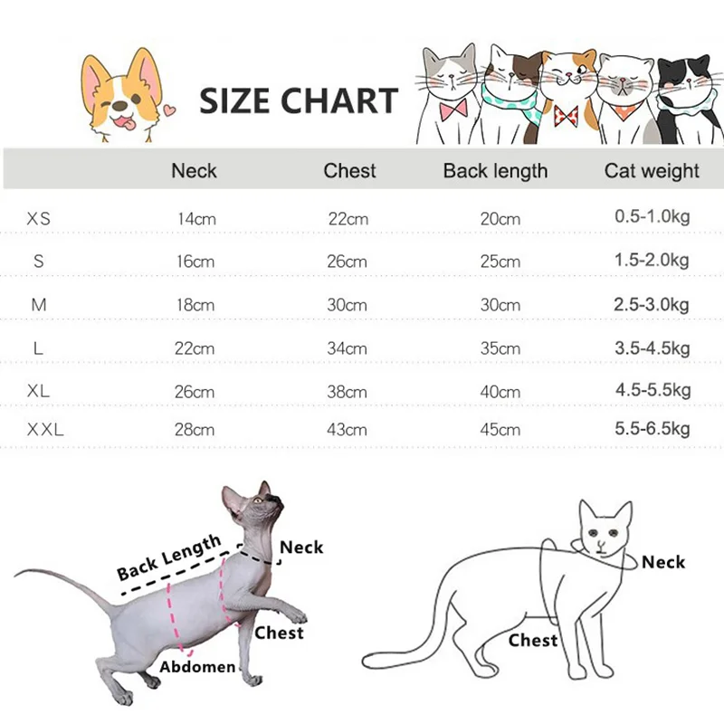 Fashion Spring Autumn Sphynx Devon Hairless Cat Clothes Cotton Fleece Hoodie for Devon Rex Cartoon Sweatshirt in Autumn