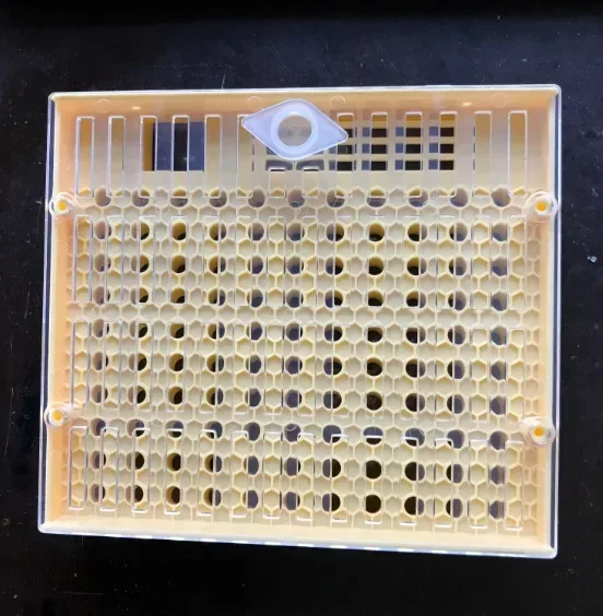 1 Pcs keeping Rearing Cell Box Plastic Honeycombs Cage Isolation Apiculture Equipment