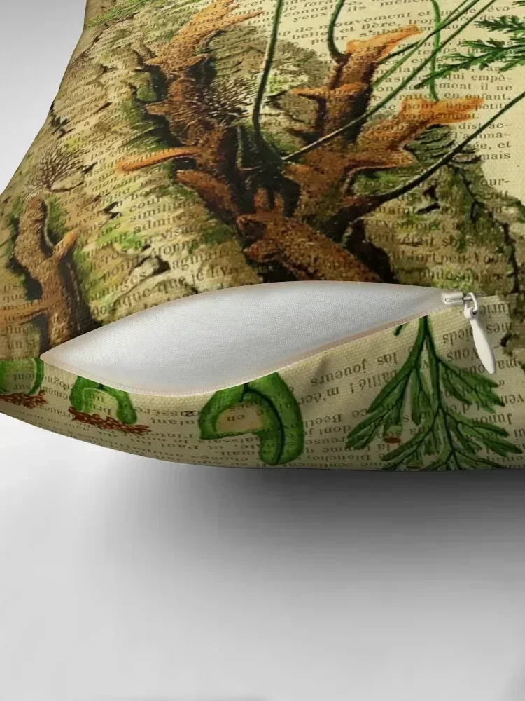 Botanical print, on old book page - Fern Throw Pillow pillow cover luxury Cushion Cover Set Sofa Cushion Cover pillow