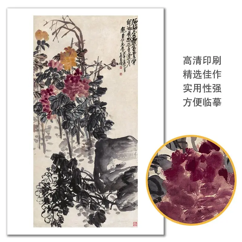 Chinese Painting Copying Card Flower and Fruit Chapter Introduction To Ink Painting Art Training Set of 48 Pieces