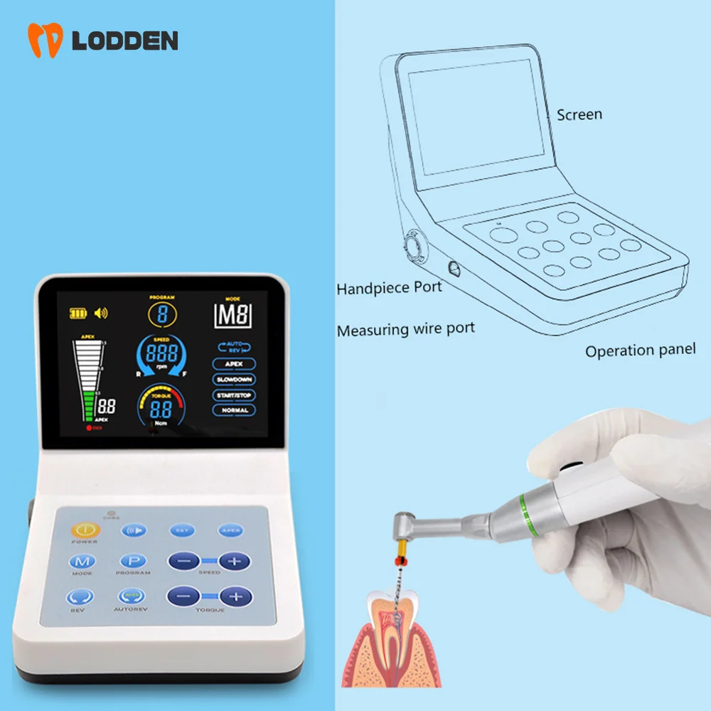 Moteur dentaire Endo avec localisateur d'apex, pièce à main à contre-angle 16:1, équipement de traitement dentaire Endodoncia, R-Smart Plus