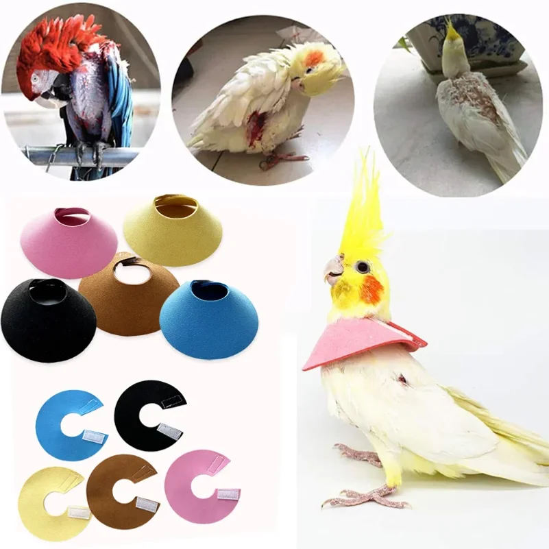 

Bird Neck Protective Adjustable Bird Accessories BirdCloak Parrot Elizabethan Circle BirdNeck Sleeve Birds Recovery Collar