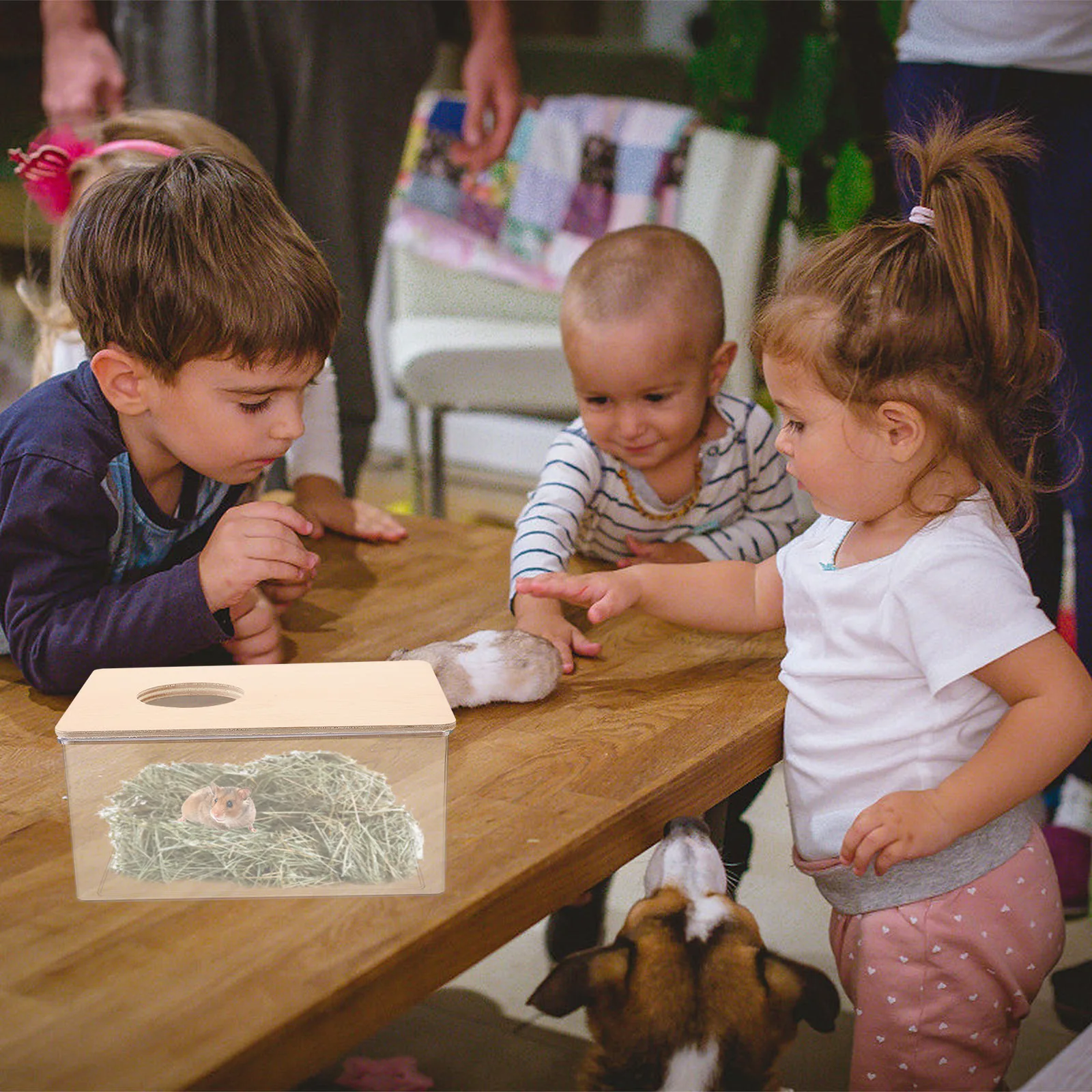 

Hamster Sand Bath Box Sturdy Clear Sand Bath Basin for Small Pets Chinchilla Gerbils Guinea Pig Bathroom Accessories