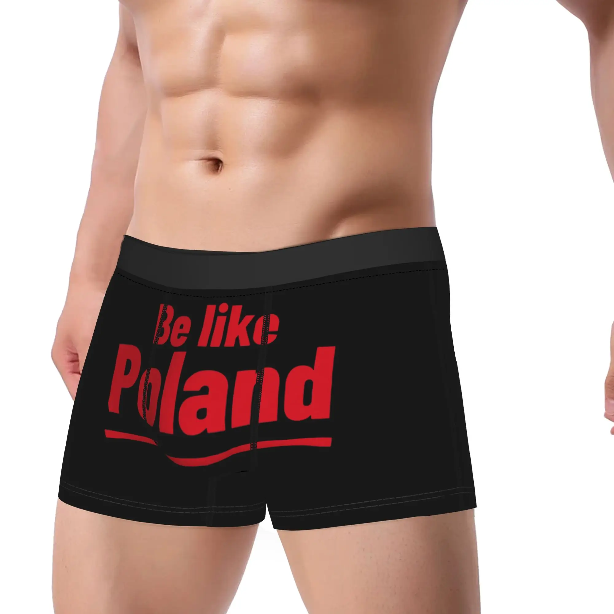 Be Like Poland Polska Polish Flag Underwear  Men's Underpants Customs Classic Trunk High Quality Shorts Briefs Plus Size 2XL