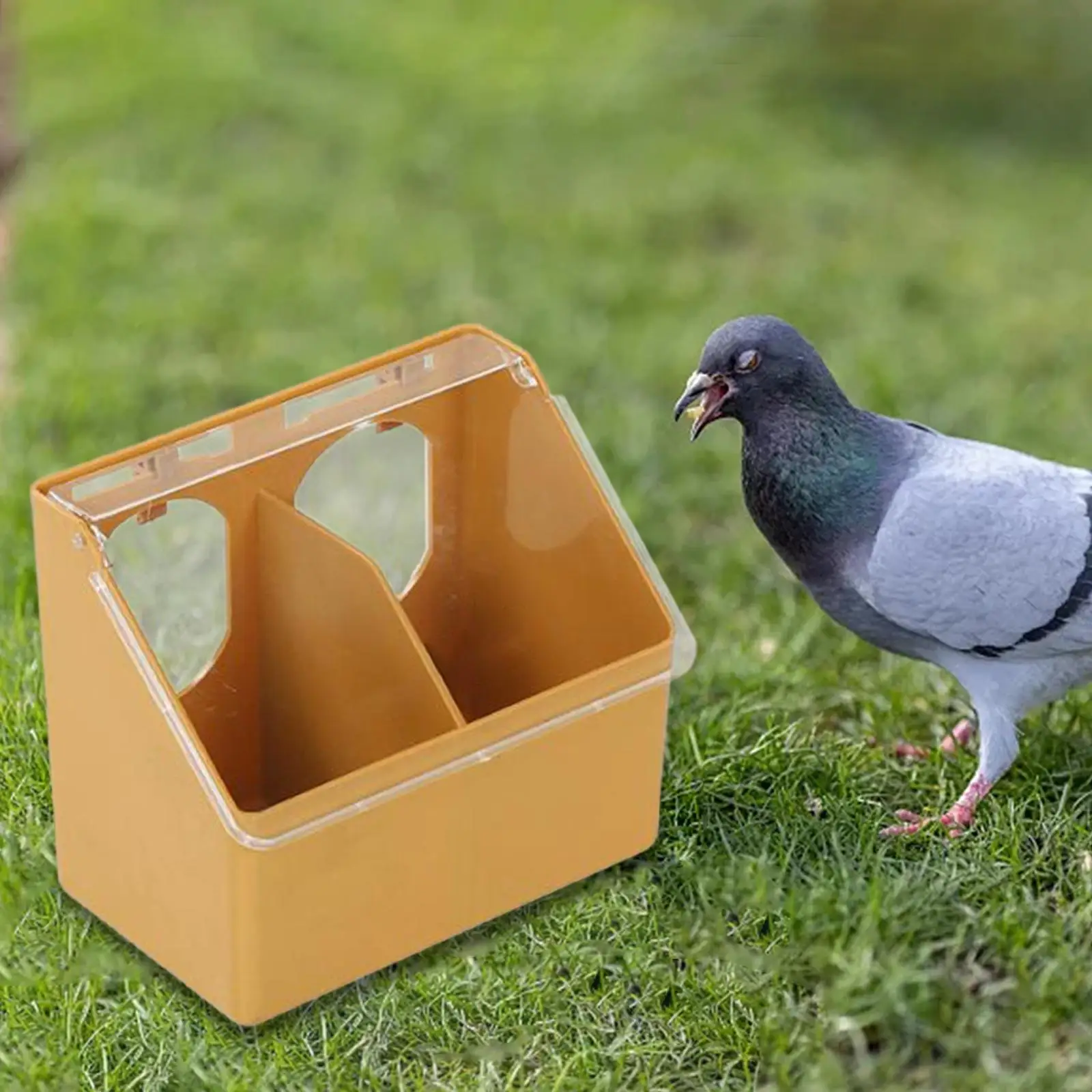 Automatic Feeder Pigeon Two Hole Hanging Cage Box for Pigeon Cage Pigeon Pairing Cage Breeding Cage Budgie Parakeet Cage