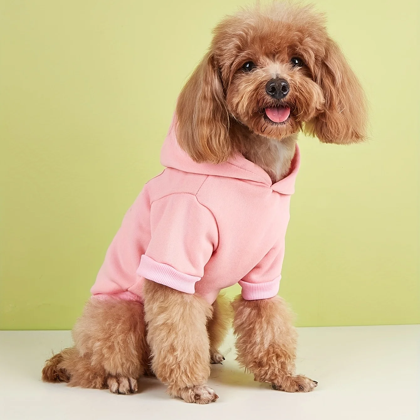 Pet clothes: dogs, cats, hooded sweatshirts, warm and comfortable with velvet, printed clothes, simple and generous