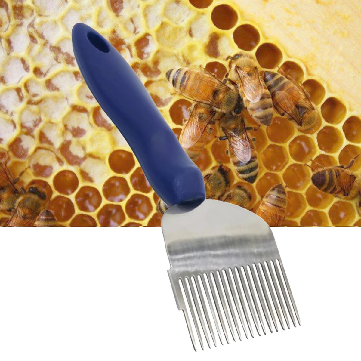 18-Nadel-Honigschaufel zum Entschließen von Honigschaber, Wabenstock, Bienenzuchtgabeln, Honigmesser, Edelstahlstift, Imkerei-Werkzeug