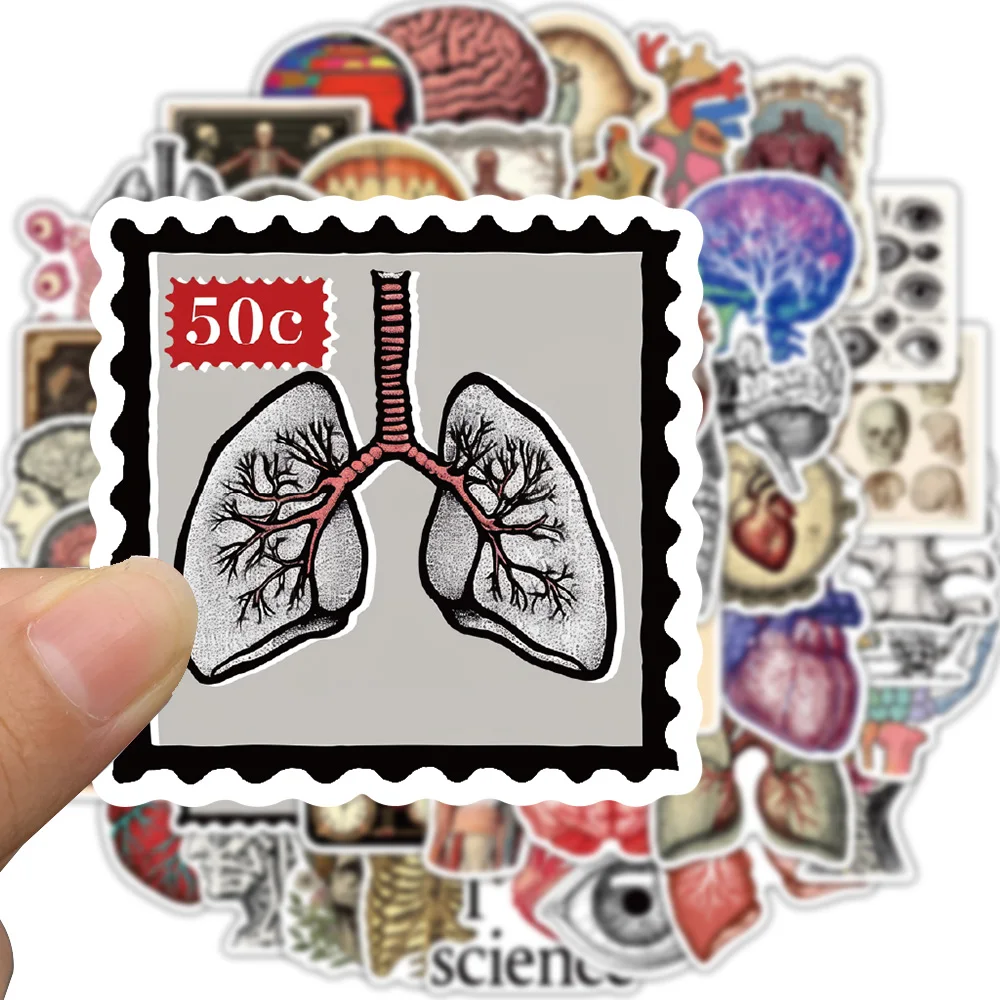 50PCS Retro Scientific Anatomy Sticker Physiology Anatomy Luggage Laptop Cars PVC Guitar Coffee Skateboard Notebook Decals