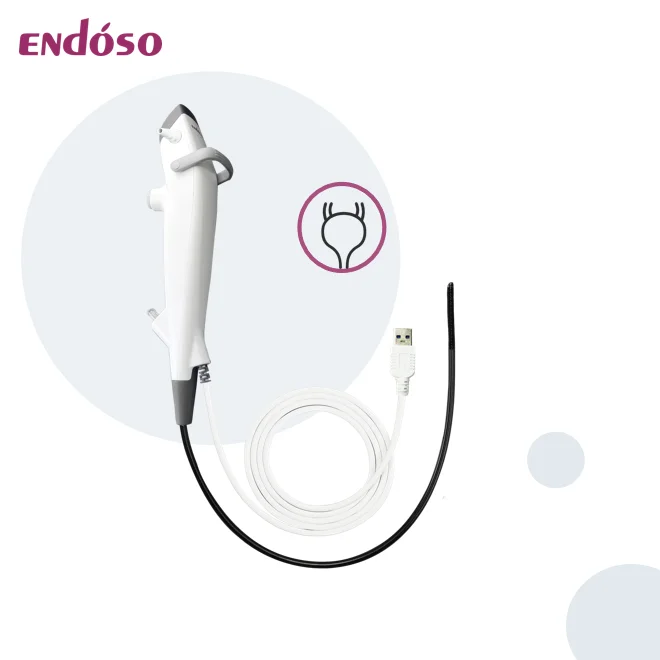 Source Factory in Stock USB 2.4mm 5.3mmOD  Working Channel Easy to Use Flexible  Cystoscope for  Urology Surgery
