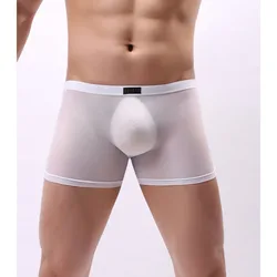 Cuecas boxer transparentes para homens, roupas íntimas de malha ultrafina, cuecas para ver através, lingerie erótica, shorts masculinos, calcinha sexual