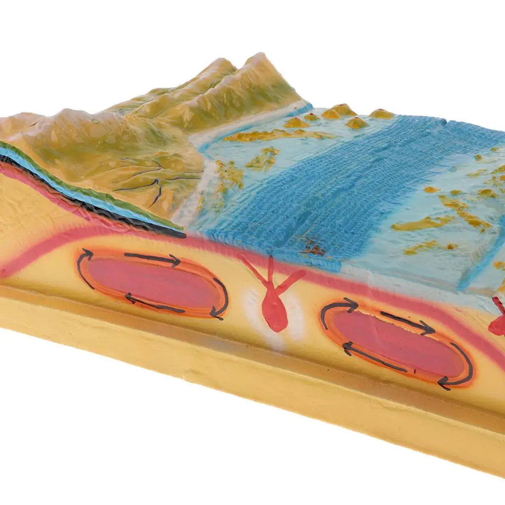 อุปกรณ์ช่วยสอนโรงเรียนธรณีวิทยาศาสตร์ - ชุดแสดง Tectonics แบบเพลท