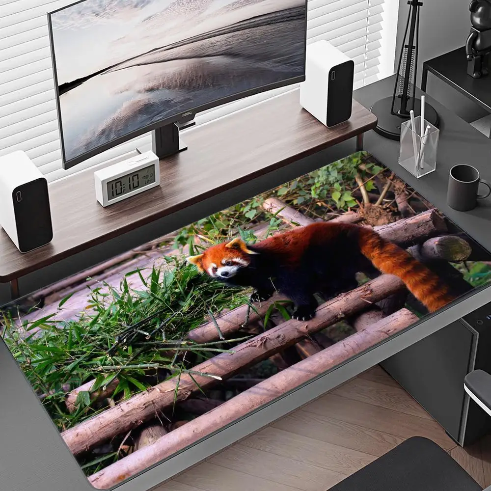 HD Gaming Cute Red Panda Mouse Pad 900x400x4mm HD Desk Pad Extended Gaming Keyboard Mats Large XXL Gamer Mousepad 80x40cm view 3