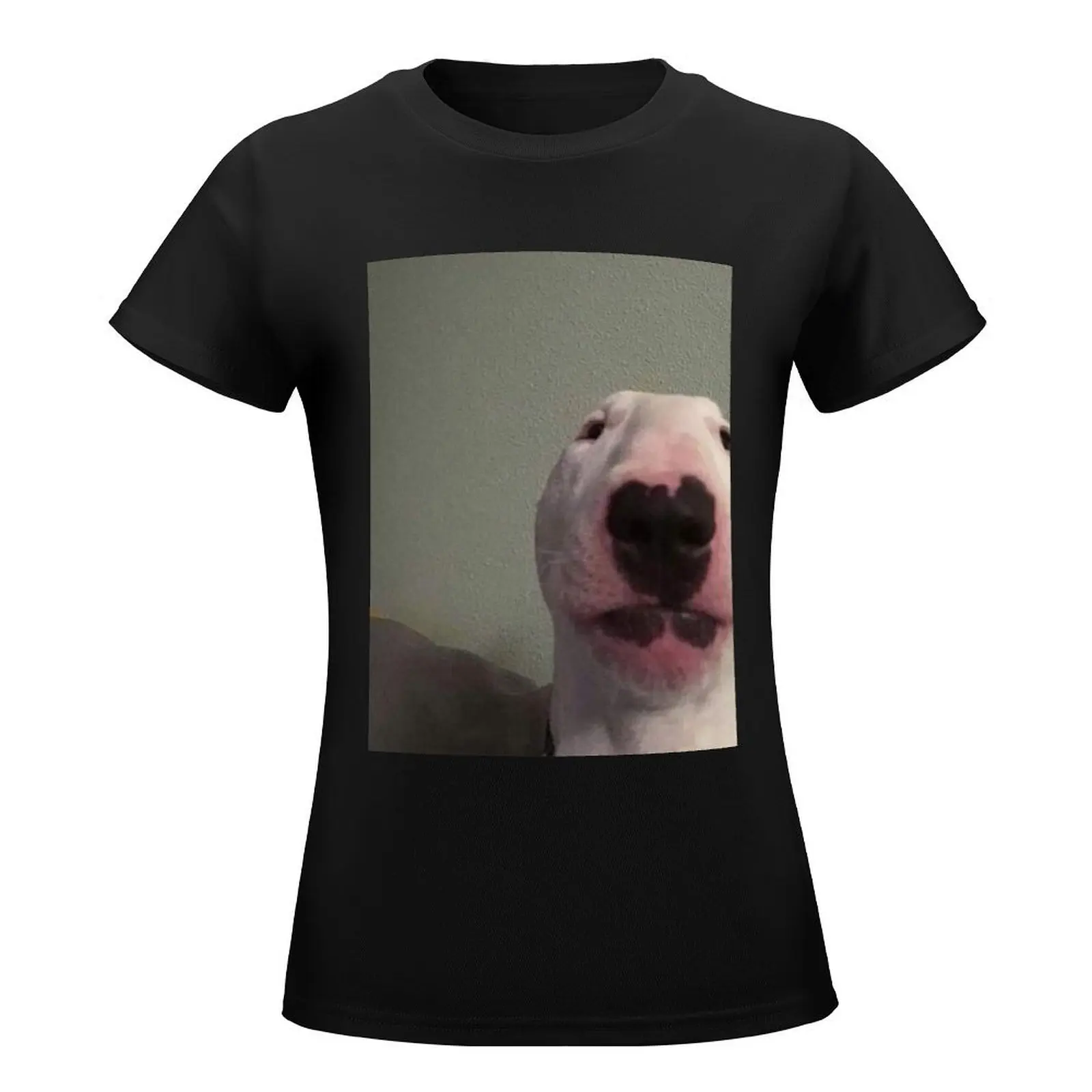 Walter Dog Tee T-Shirt Short sleeve tee funny Women t-shirts