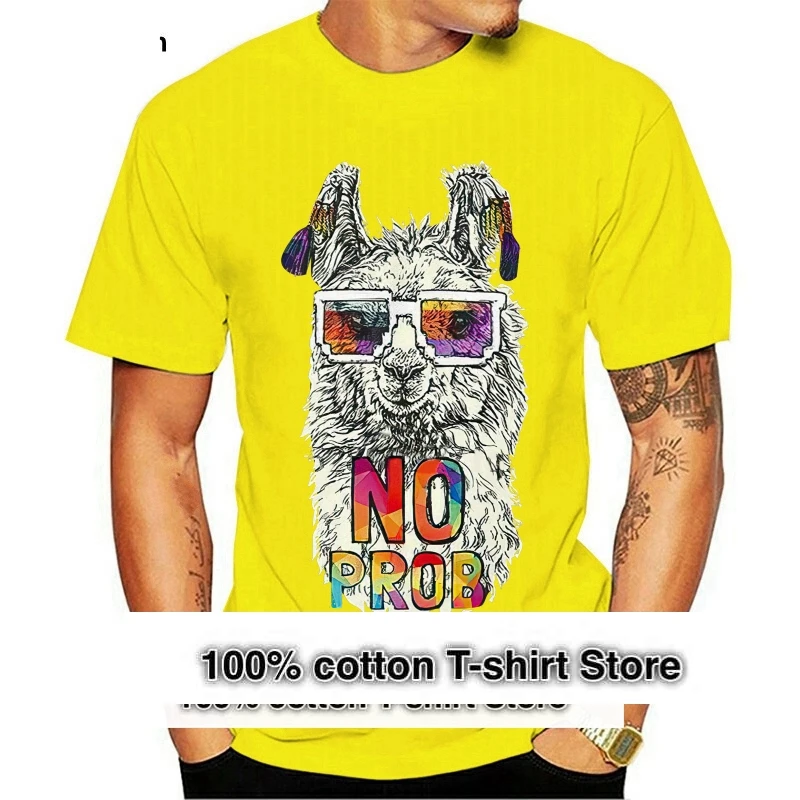 No Probllama Proble…