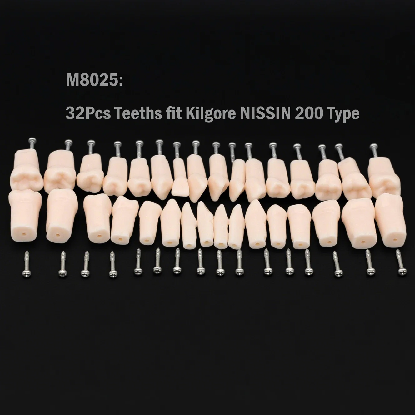 

Dental Typodont Model Kilgore NISSIN 200 Type 32Pcs Replacement Spare Teeth M8025