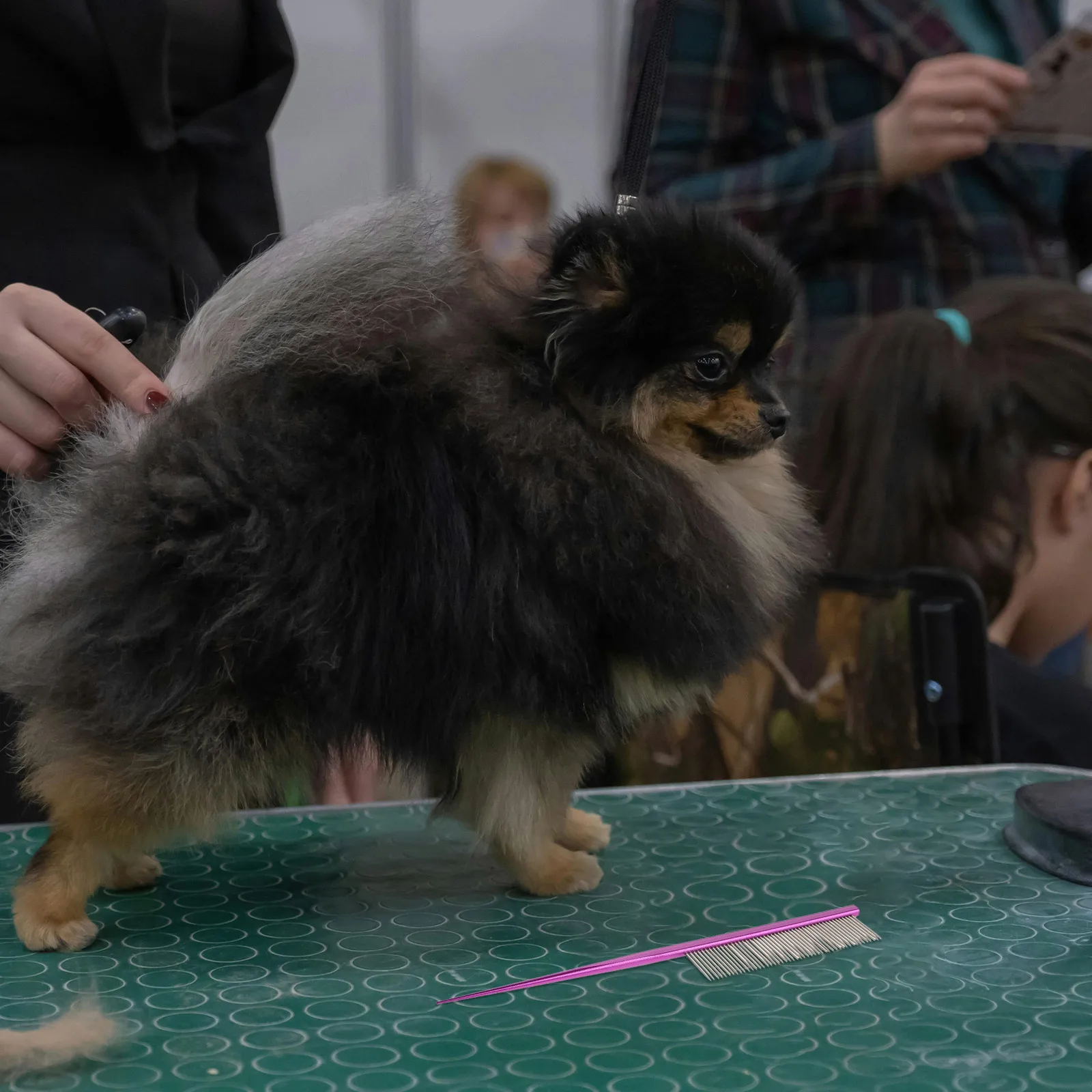 

Pet Tip-tail Comb Durable Steel Grooming Tool for Dog Cat Care Reducing Shedding Enhancing Comfort Precision Tail Design