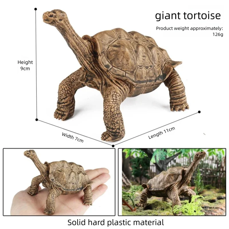 Oenux Simulations-Schildkröten-Set: Alligator, Galapagos-Schildkröte, Chinesische Weichschildkröte Figuren und Puppen – Detail 11