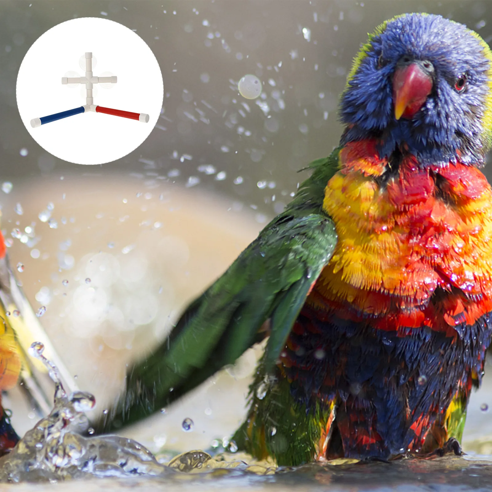 

Parrot Shower Bird Perch Rack Suction Cups Sturdy Plastic Cage Toys for Pet Parrot Shower St Parrots Bathing Fun Gifts