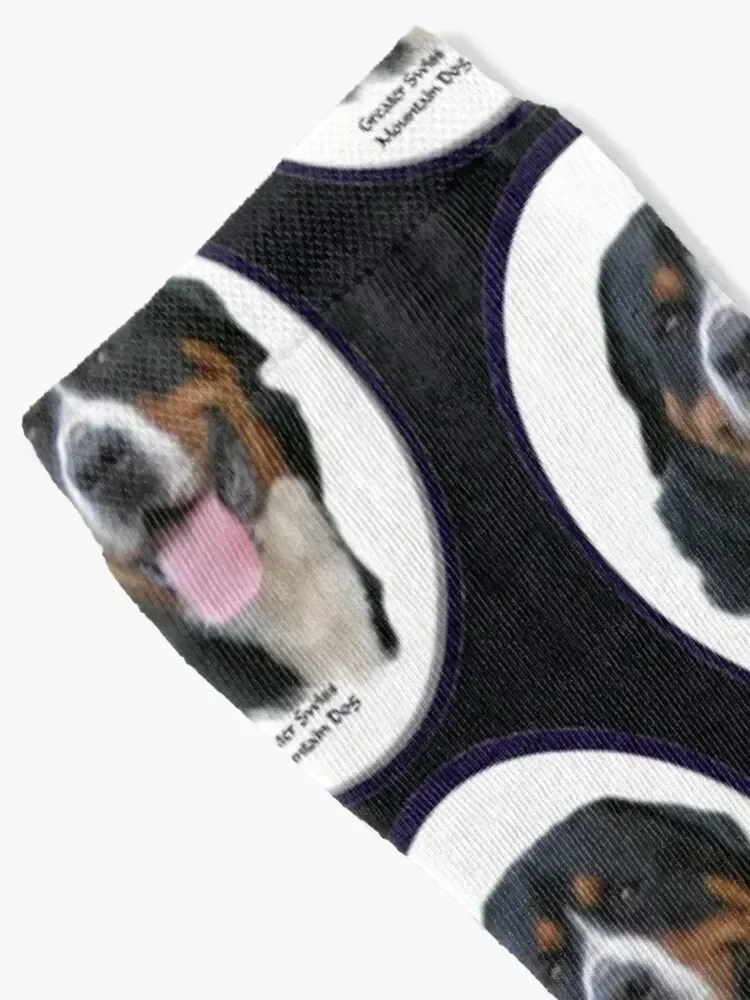 Greater Swiss Mountain Dog Art Gifts Socks luxe Stockings man set Climbing Socks Girl Men's