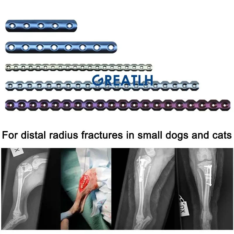 GREATLH Medical Bone Fracture Plate Reconstruction Bone Plate Titanium Small Animal Orthopedic Surgical Instruments