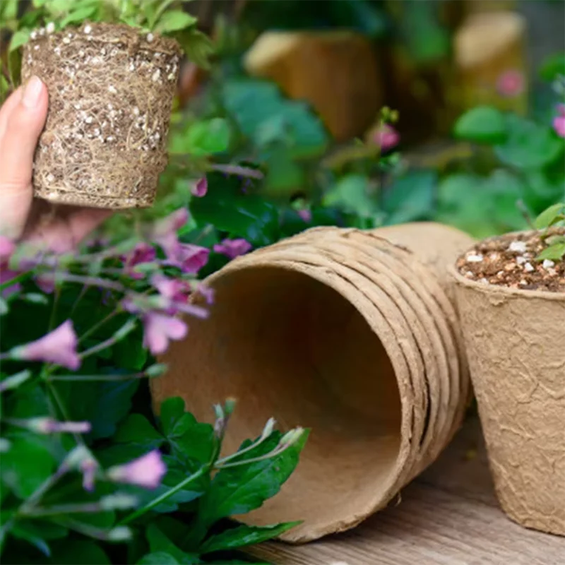 10/20/50pcs 6/8cm Plant Grow Pot Paper Nursery Cup Starters Garden Flower Pots Herb Vegs Kit Biodegradable Home Gardening Tools