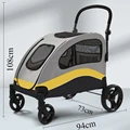 Grey Yellow
