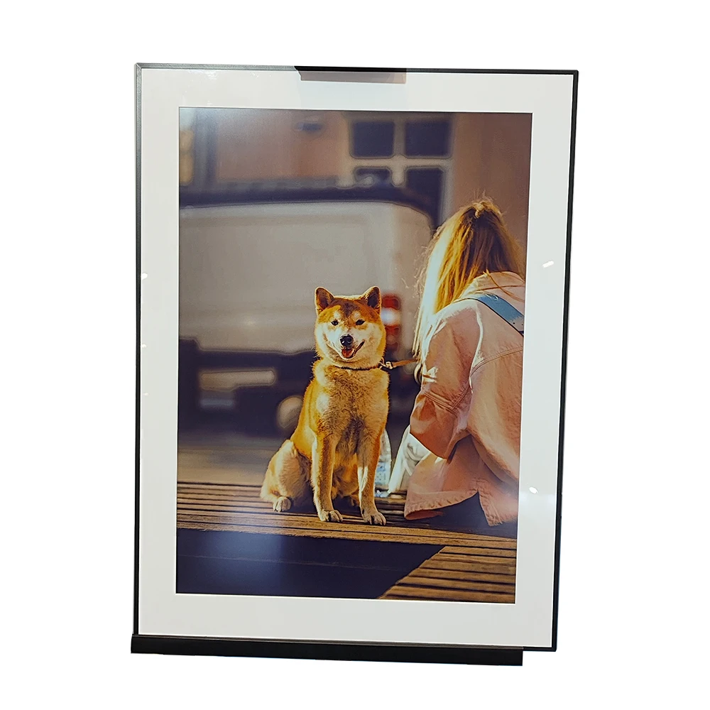 28.5 Inch E-Ink And…