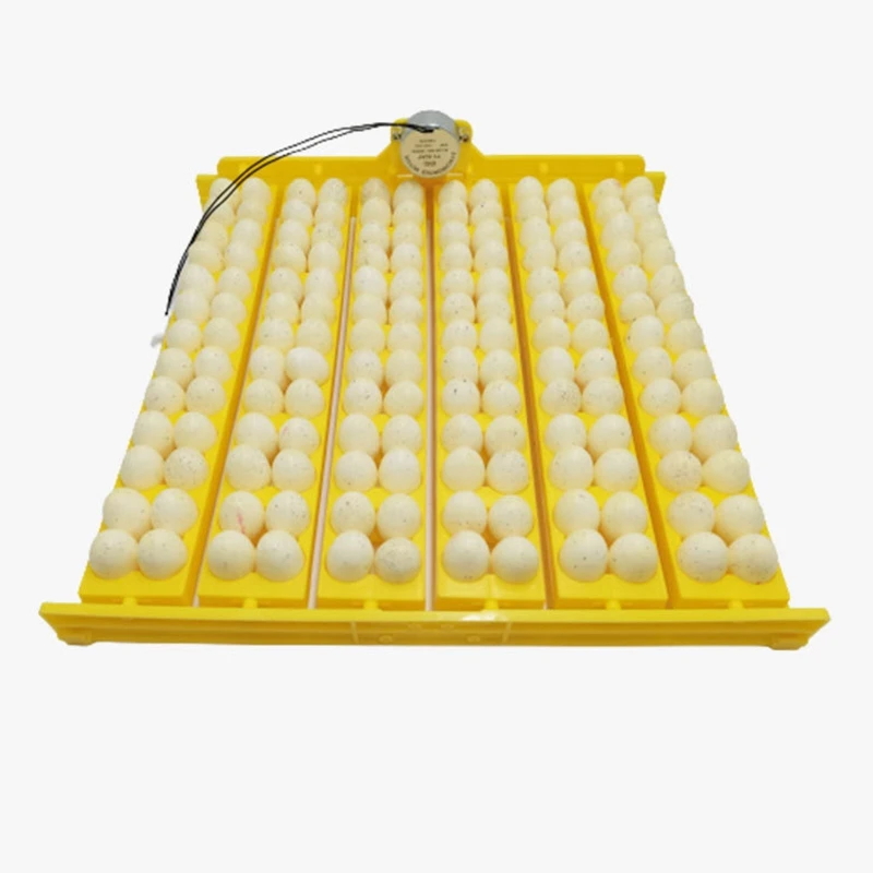 36 Eggs Automatic Incubator Egg Tray Egg Incubator Motors Home Chicken Farm Poultry Hatching