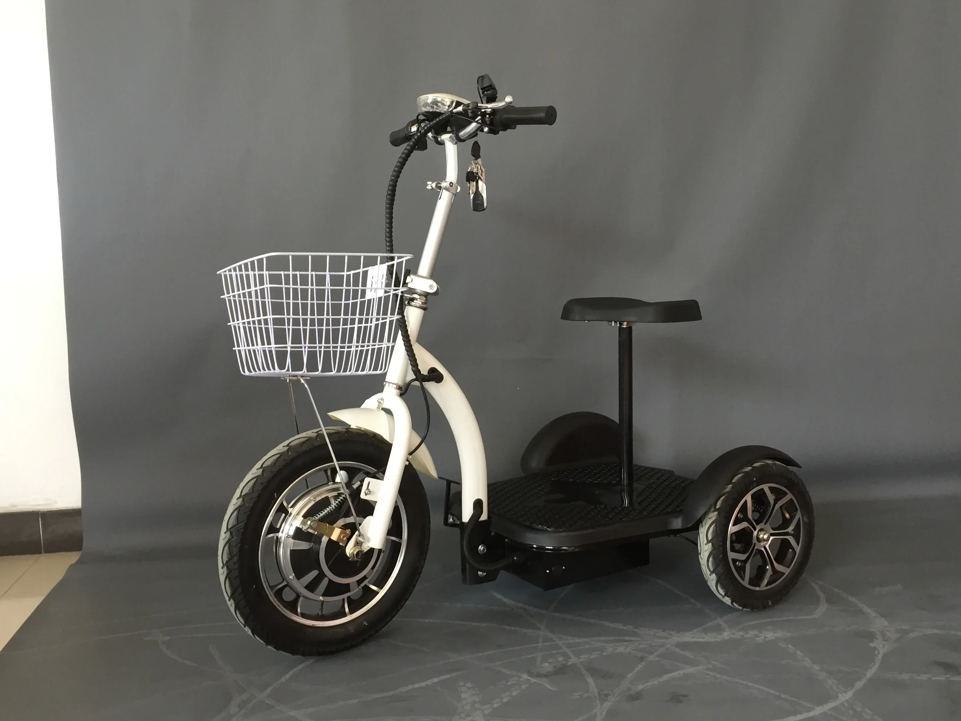 3 Wheel Electrical Fat Tire 1000w Trike