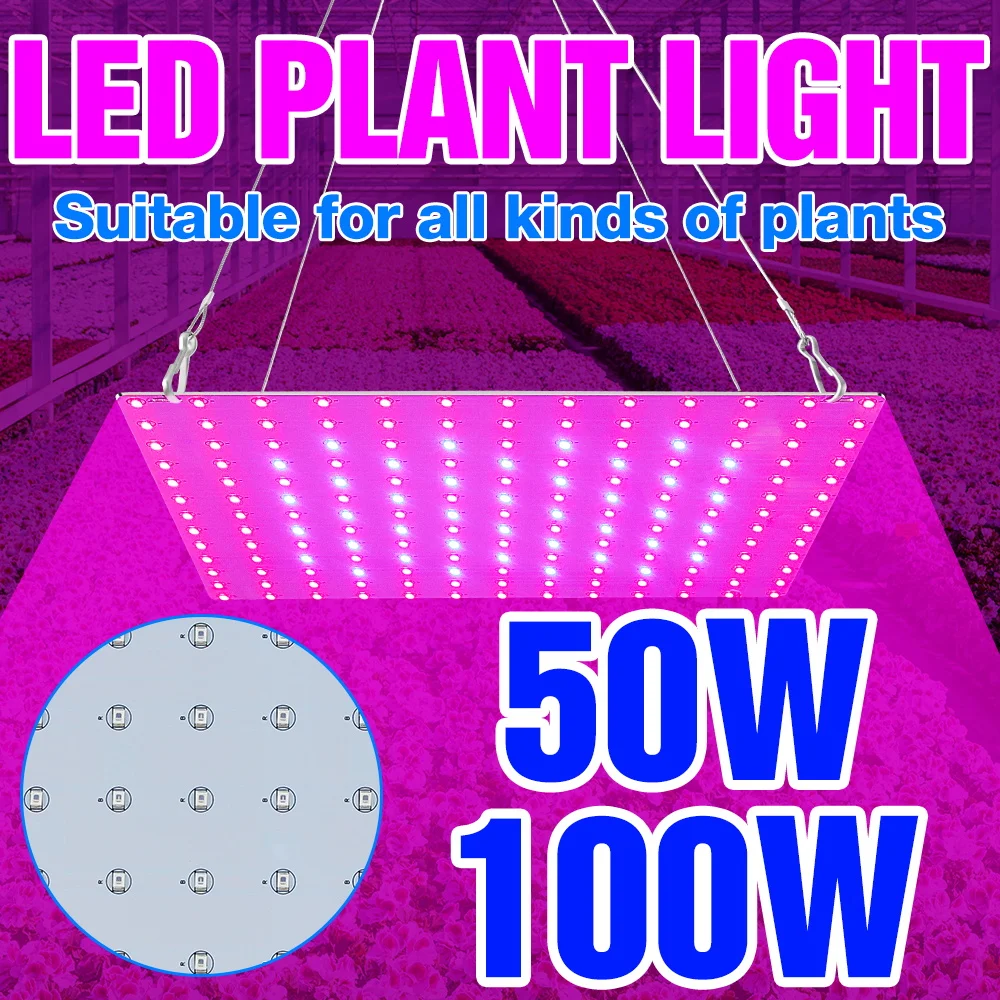 

100W Full Spectrum Grow Lights LED Quantum Board Hydroponics Fill Lamp Greenhouse Vegs Fruit Flowers Fill Lighting US/EU Plug