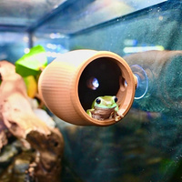 Decoration of cave feeding boxes for reptiles such as cylindrical tree frogs, geckos, lizards, etc
