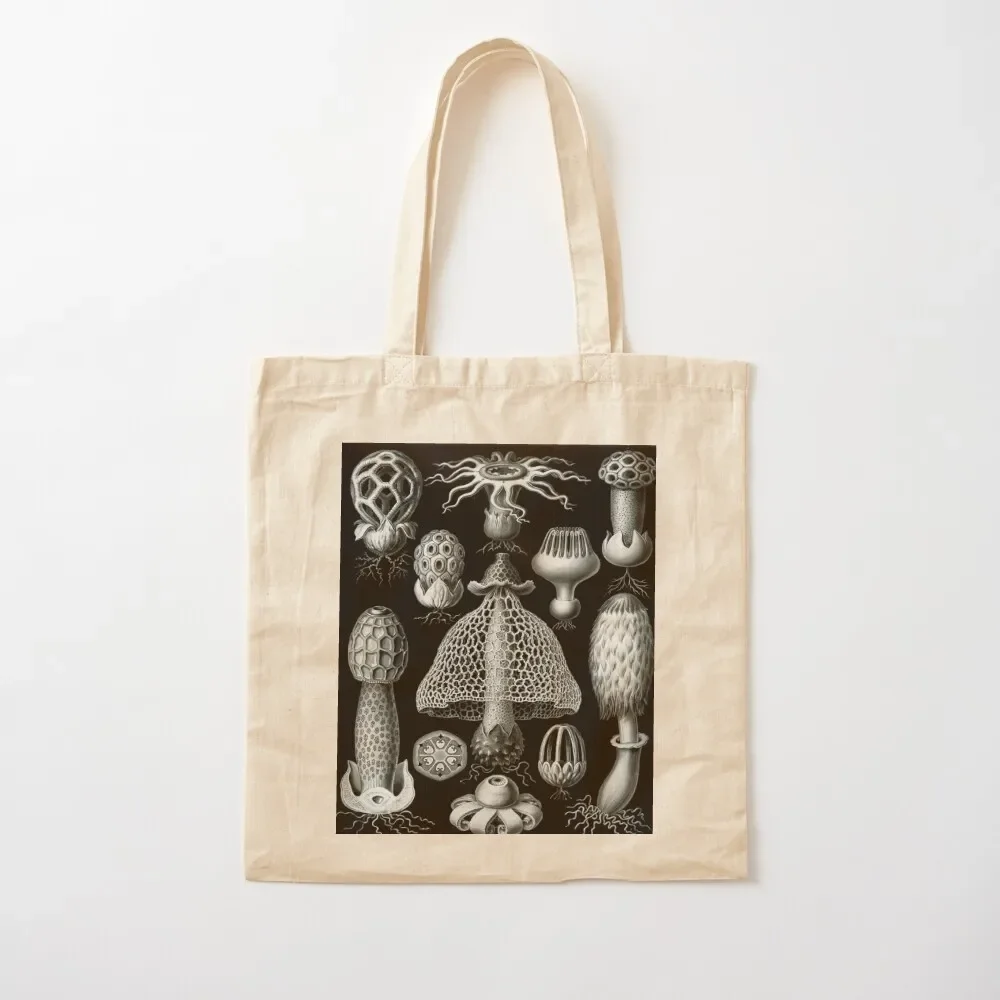 

Haeckel Aspidonia Drawing Tote Bag Women's shopper bag Candy bags shopping bag logo tote screen