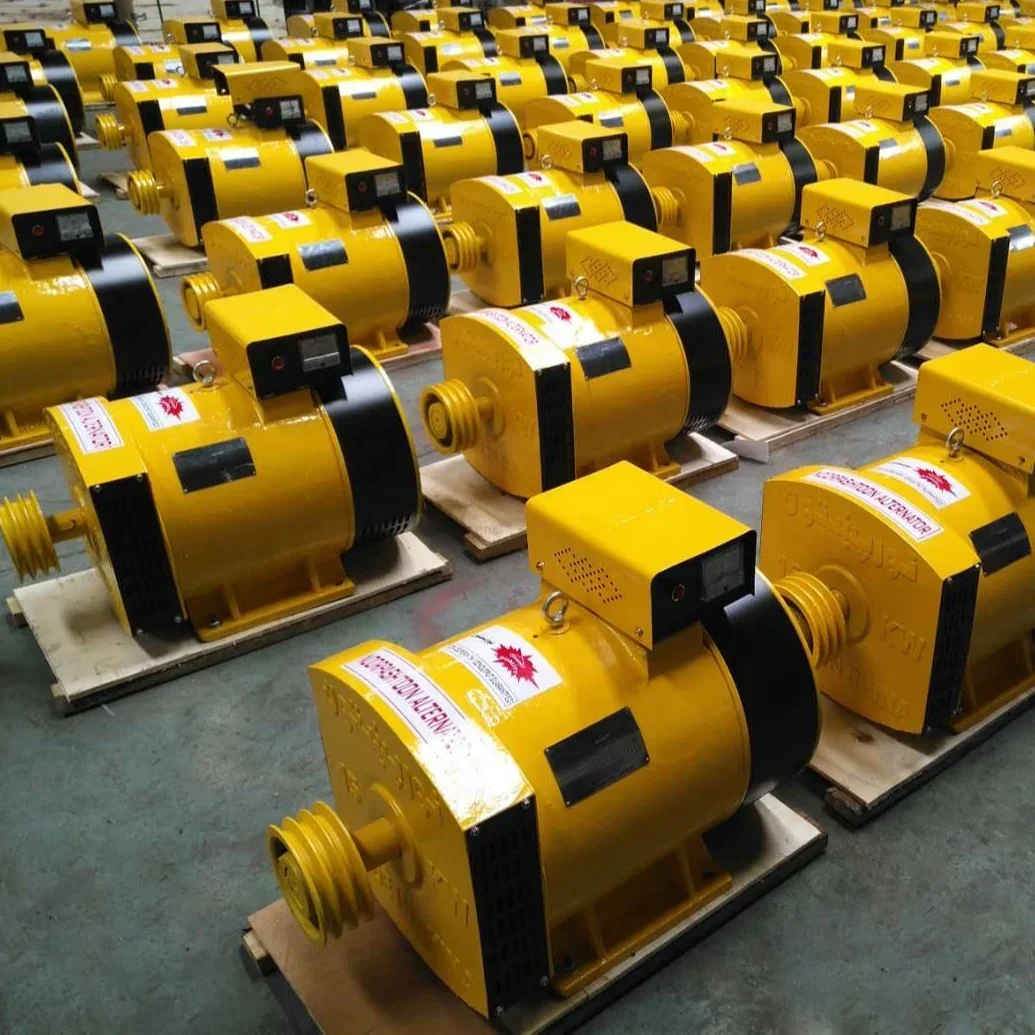 ST-2 2KW 3KW 5KW 7.5kw 10KW 12KW 15KW 20KW Single Phase 230V Brush Type AC Generator Sales