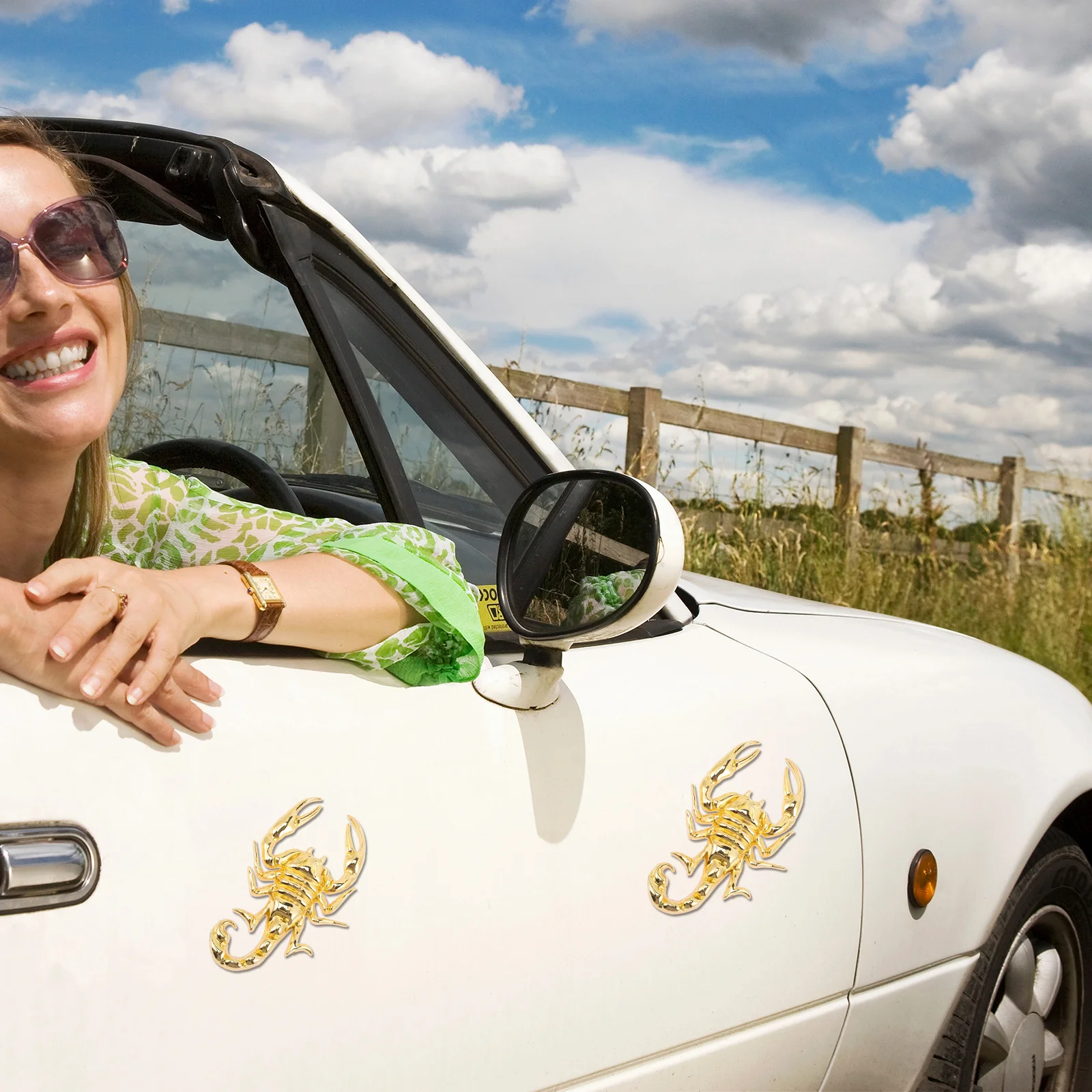 

2 pcs Metal Car Stickers Auto Body Decoration Fade Resistant Waterproof Decals For Car Door Window Truck Side