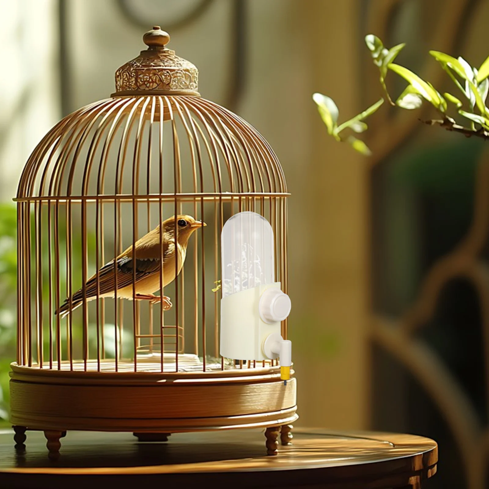 

Automatic Bird Water Feeder Hanging Cage Dispenser Plastic Waterer for Finches Parakeets Budgies Cockatiels Spillproof Silent