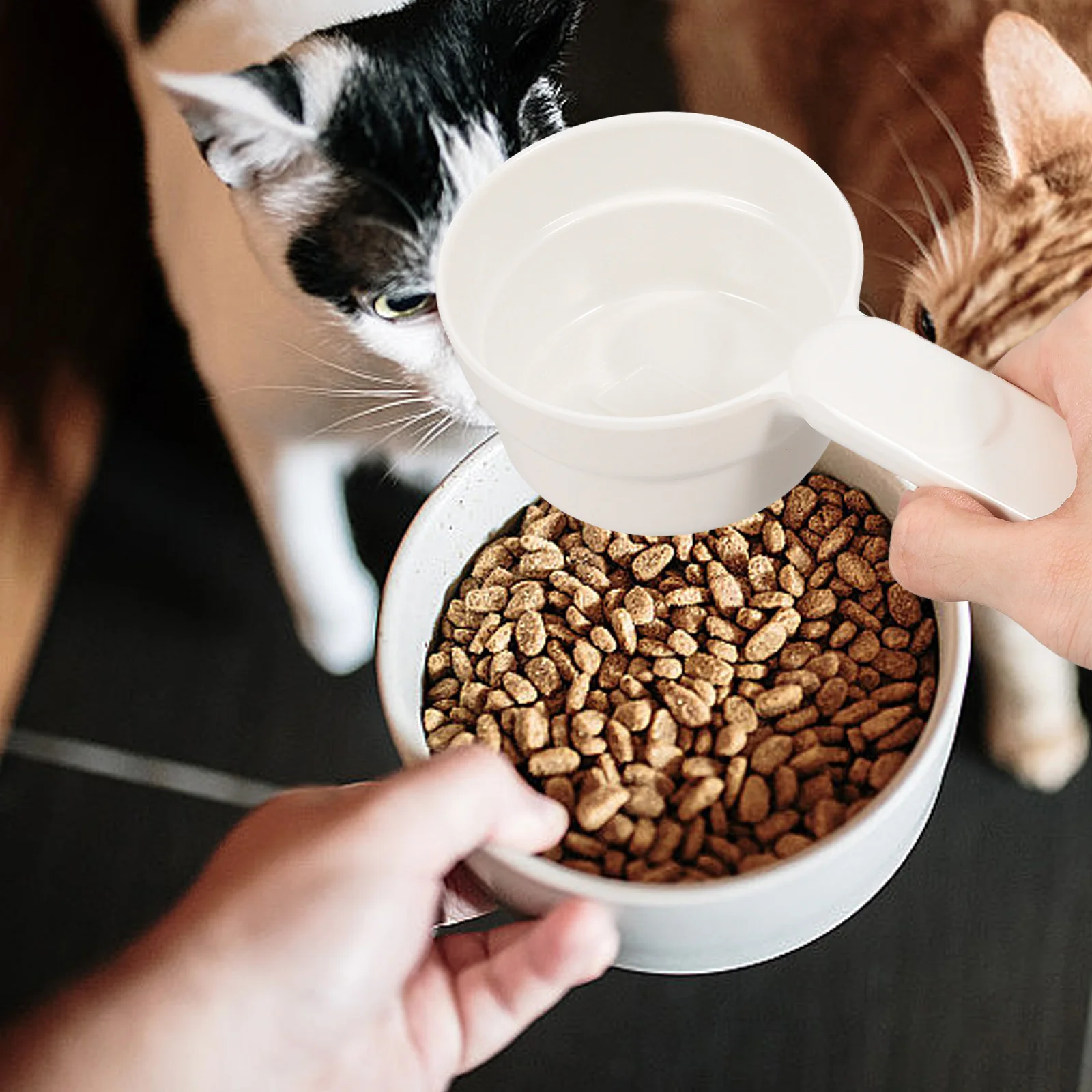 

Tool For Dogs Cats Reusable Melamine Lightweight Portable Multi-Functional Small Cat Dog Spoon Digital Feeding Tool Wet Dry