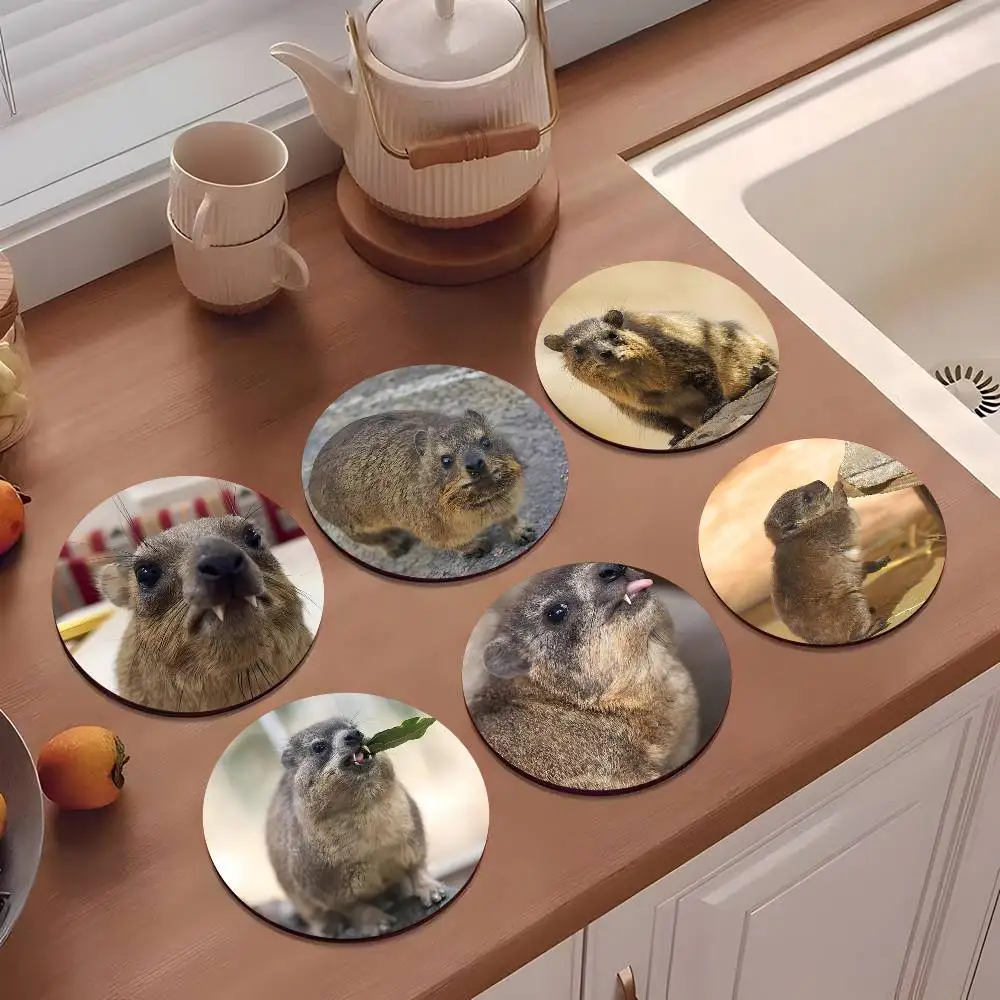 1pc Rock Hyrax Animal Wooden Coaster Colour Printing Cup Mat Home Desk Decoration Gifts